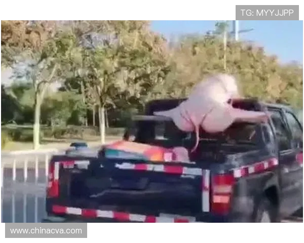 神级词条笑到劈叉！欧巴跳舞帅到窒息，网友：这谁顶得住？